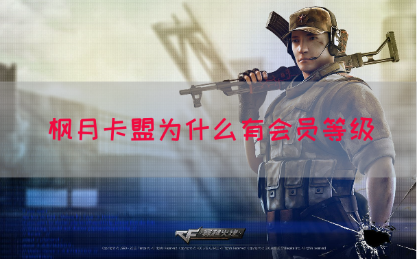 枫月卡盟为什么有会员等级