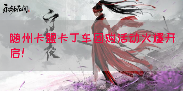 随州卡盟卡丁车团购活动火爆开启！