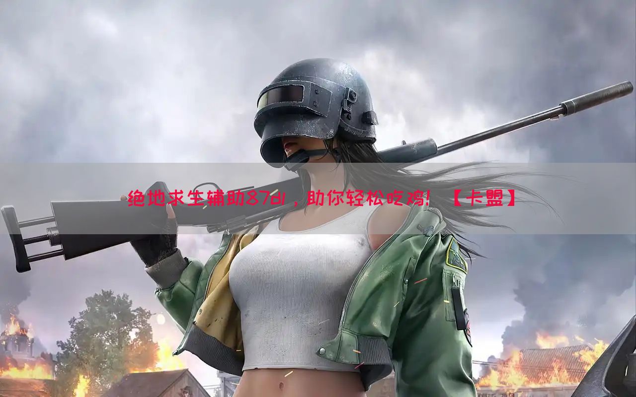绝地求生辅助87dl，助你轻松吃鸡！【卡盟】