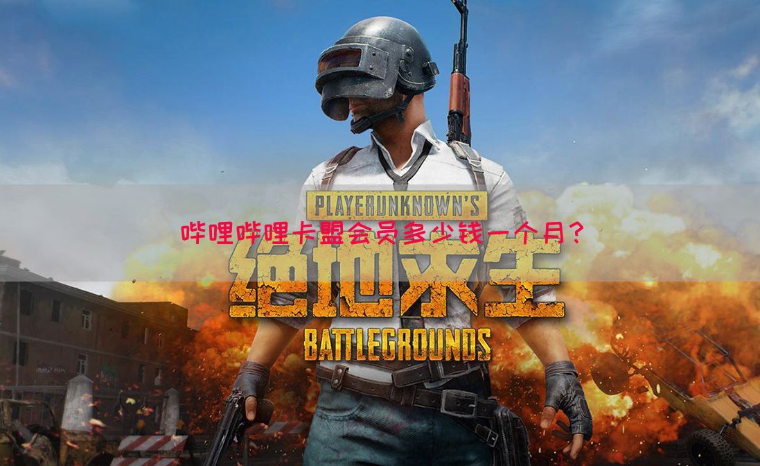 哔哩哔哩卡盟会员多少钱一个月？