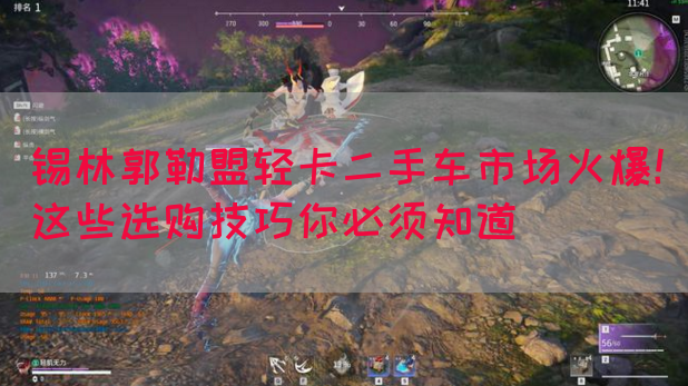 锡林郭勒盟轻卡二手车市场火爆！这些选购技巧你必须知道