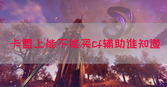 卡盟上能不能买cf辅助谁知道