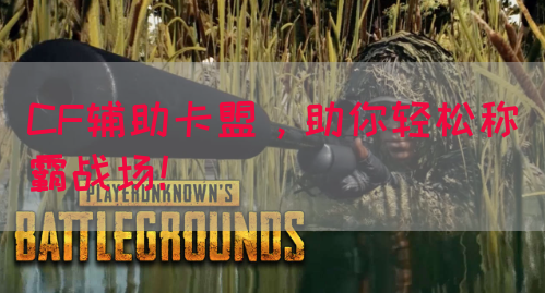 CF辅助卡盟，助你轻松称霸战场！
