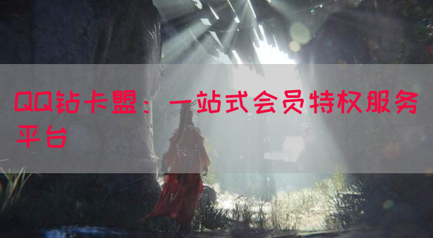 QQ钻卡盟：一站式会员特权服务平台