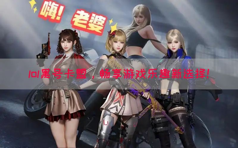 lol黑号卡盟，畅享游戏乐趣新选择！