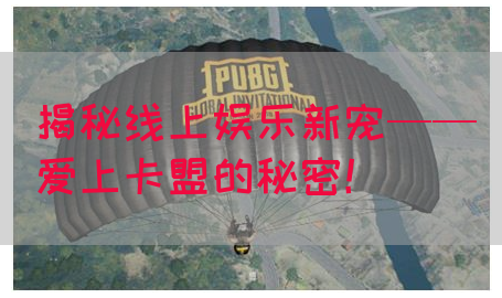 揭秘线上娱乐新宠——爱上卡盟的秘密！