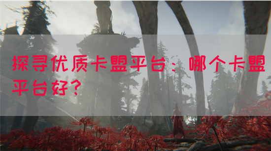 探寻优质卡盟平台：哪个卡盟平台好？