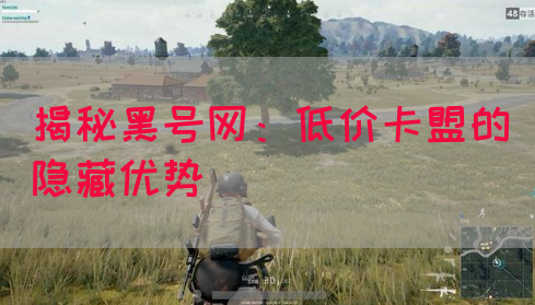 揭秘黑号网：低价卡盟的隐藏优势