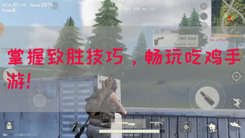 掌握致胜技巧，畅玩吃鸡手游！