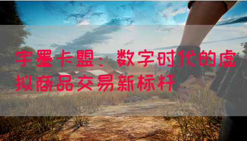 宇墨卡盟：数字时代的虚拟商品交易新标杆