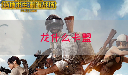 龙什么卡盟(图1) 龙什么卡盟(图1)