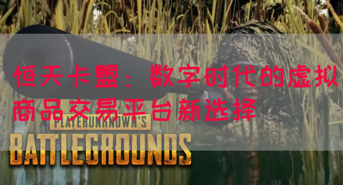 恒天卡盟：数字时代的虚拟商品交易平台新选择