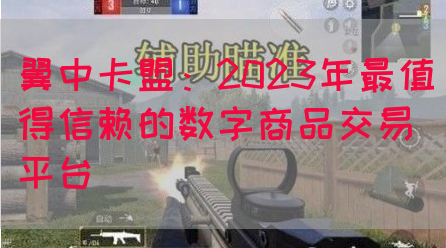 翼中卡盟：2023年最值得信赖的数字商品交易平台