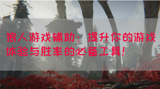 狼人游戏辅助：提升你的游戏体验与胜率的必备工具！