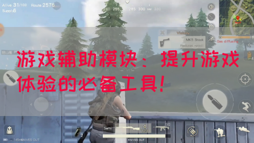 游戏辅助模块：提升游戏体验的必备工具！