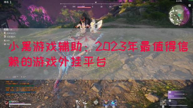 小黑游戏辅助：2023年最值得信赖的游戏外挂平台