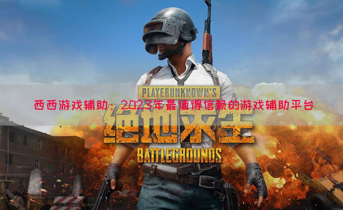 西西游戏辅助：2023年最值得信赖的游戏辅助平台