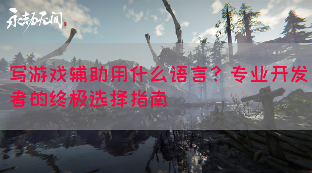写游戏辅助用什么语言？专业开发者的终极选择指南