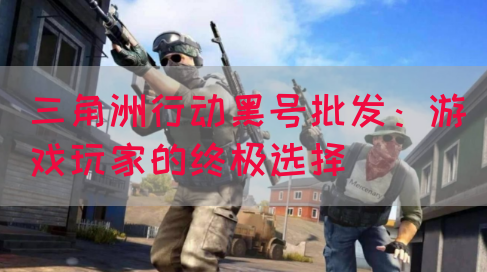 三角洲行动黑号批发：游戏玩家的终极选择