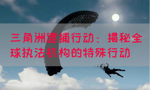 三角洲逮捕行动：揭秘全球执法机构的特殊行动