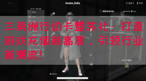 三角洲行动卡盟苏北：打造游戏充值新高度，引领行业新潮流！