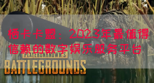 栖卡卡盟：2023年最值得信赖的数字娱乐服务平台