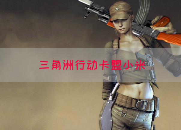 三角洲行动卡盟小米